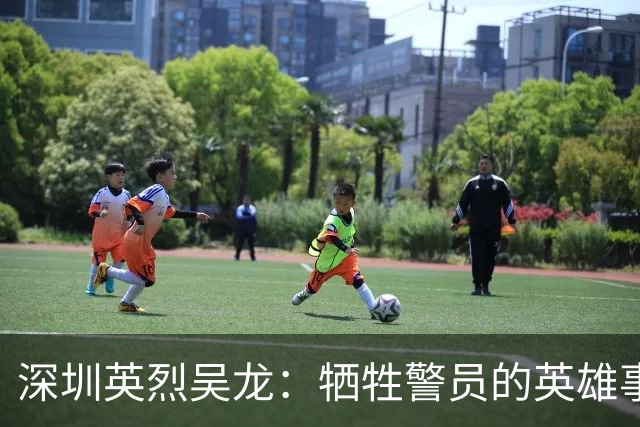 深圳英烈吴龙：牺牲警员的英雄事迹与市民的深切怀念