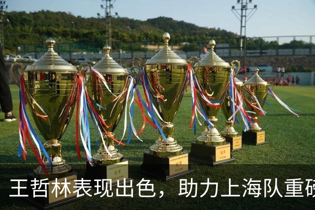 王哲林表现出色，助力上海队重磅击退福建队